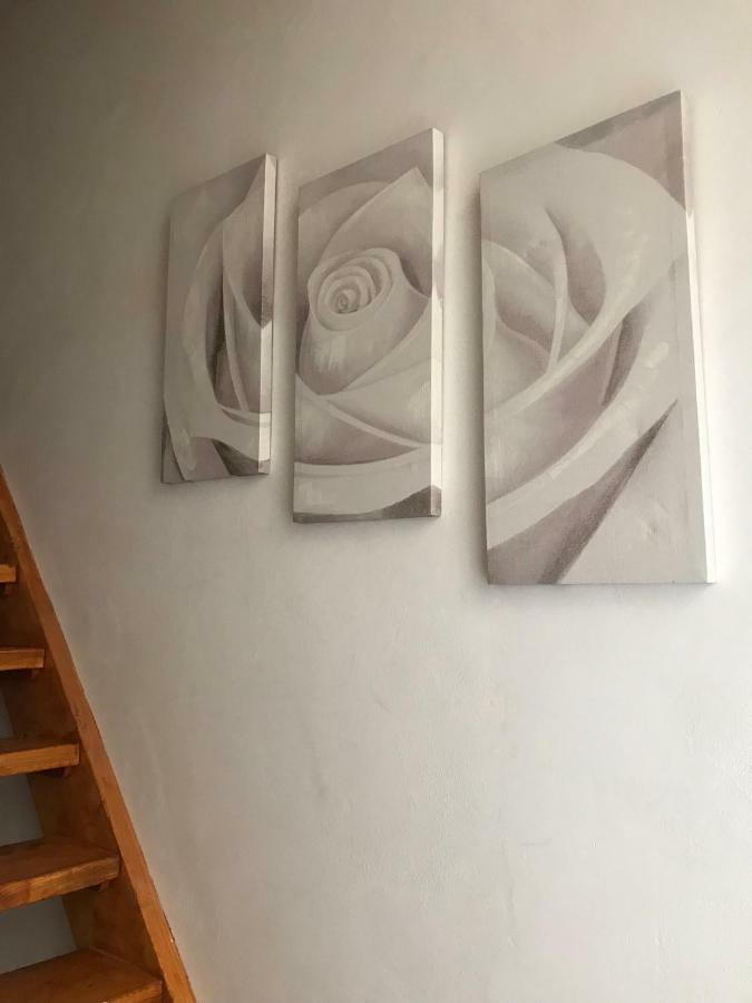 Il Nido - Cozy Studio Apartment In Santa Croce Firenze Eksteriør bilde